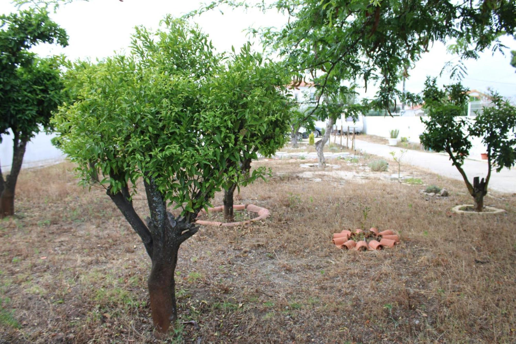 فيلا O Mundo Da Lua أزيتاوْ المظهر الخارجي الصورة